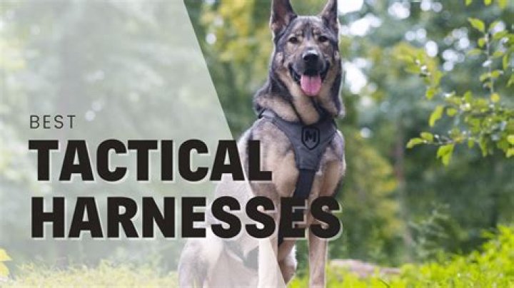 Are tactical harnesses good?