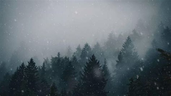Can it snow in a rain forest?