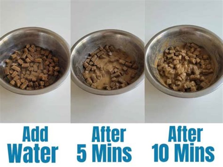 Can you add water to kibbles and bits?