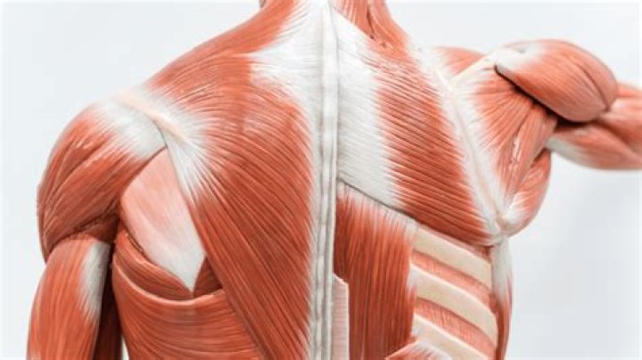 Can you pop a knot in your back?