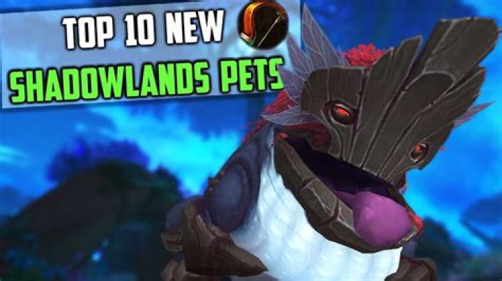 Do Hunter pets matter in Shadowlands?