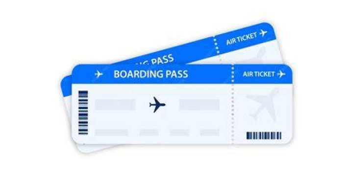 Does a 1 year old need a plane ticket?