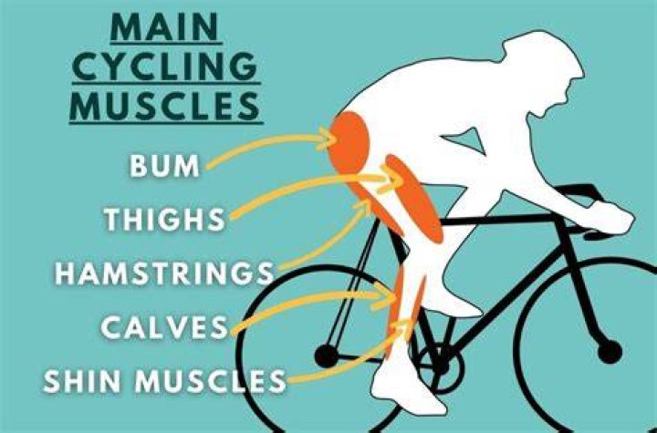 Does cycling give you a big bum?