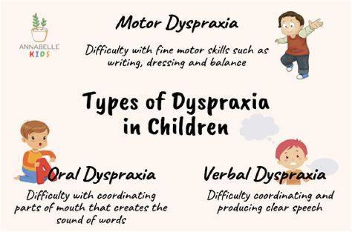 Does dyspraxia affect learning?
