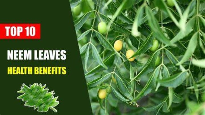 Does neem leaves whiten skin?