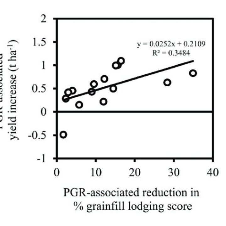 Does PGR increase yield?