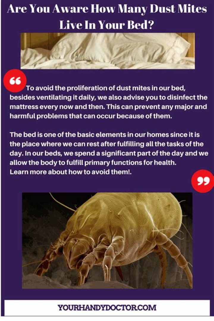 How do I know if my mattress has dust mites?