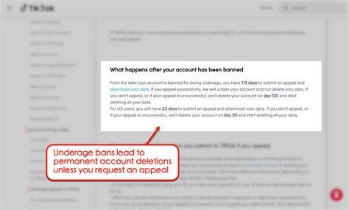 How do you get permanently banned on TikTok?