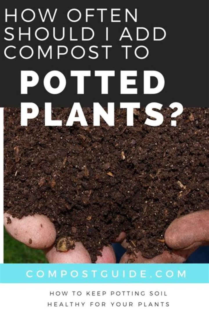How often should you add water to compost?