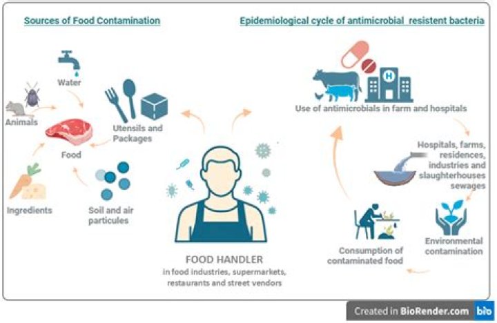 How will you handle an incidence of microbial contamination and microbial spill?