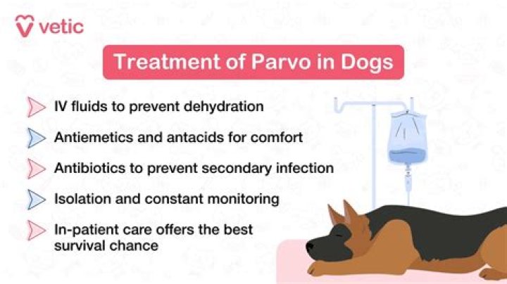 Is coconut water good for dogs with parvo?