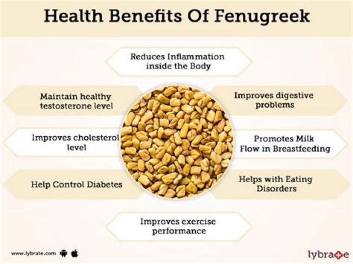 Is fenugreek good for testosterone?