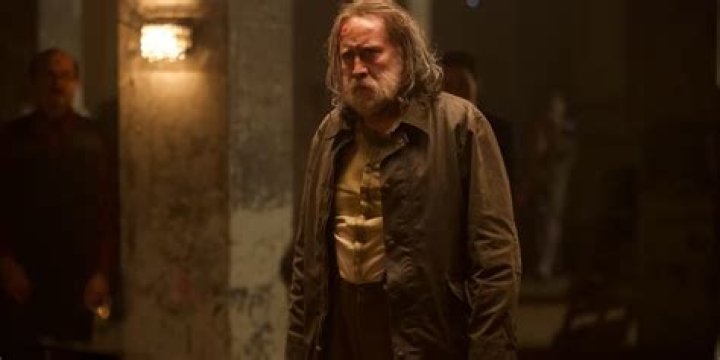 Is pig a true story?
