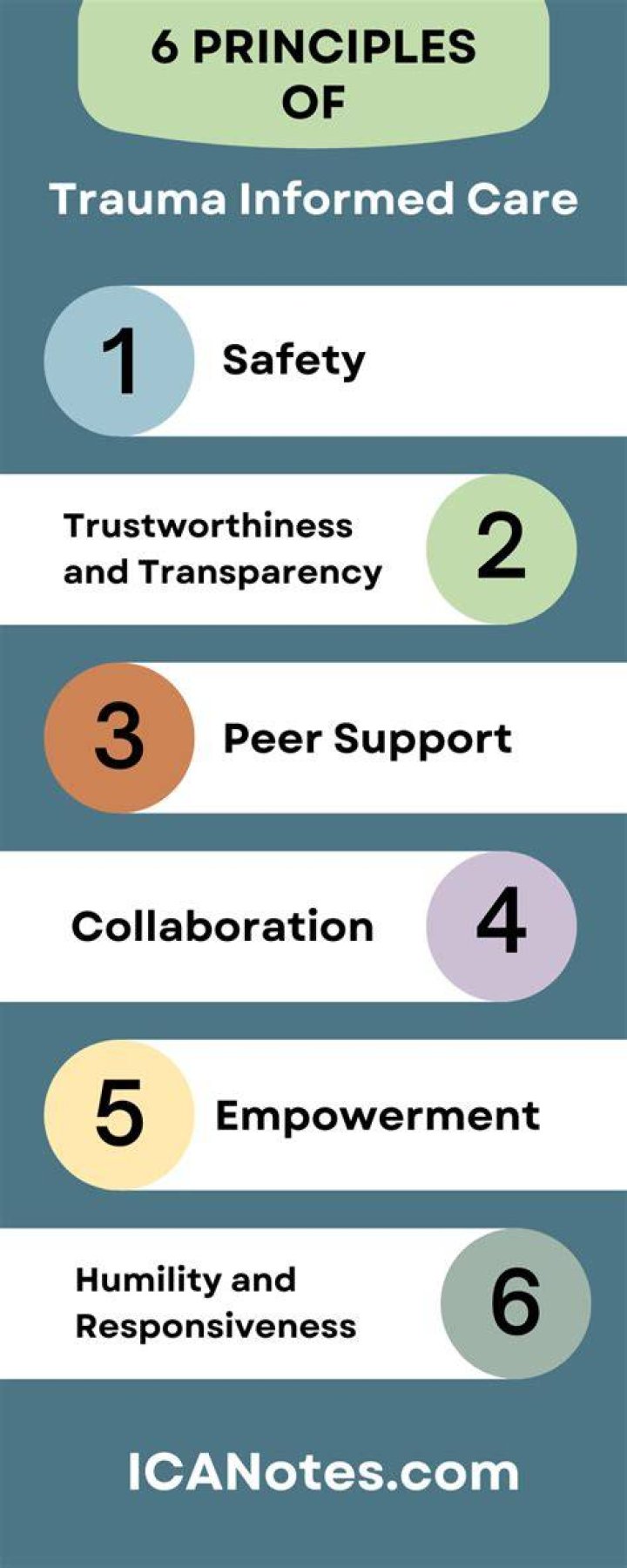 What are the 6 principles of counseling?