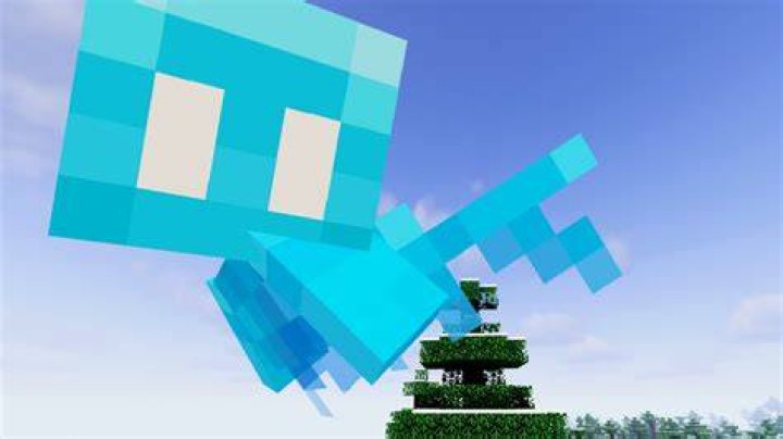 What are the blue flying things in Minecraft?