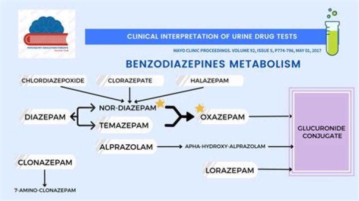 What can show up as benzodiazepine in a urine test?