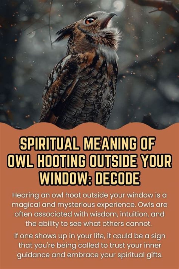 What does it mean when an owl hooting outside your house at night?