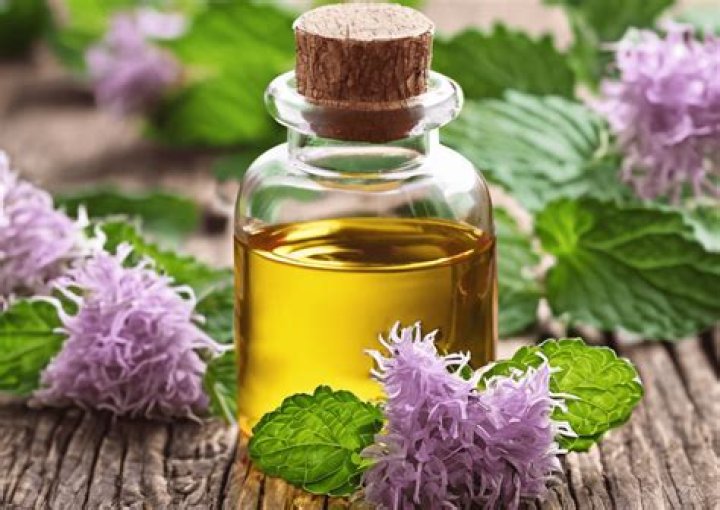 What does patchouli smell like?