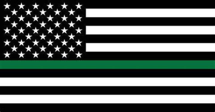 What does the green Line flag mean?