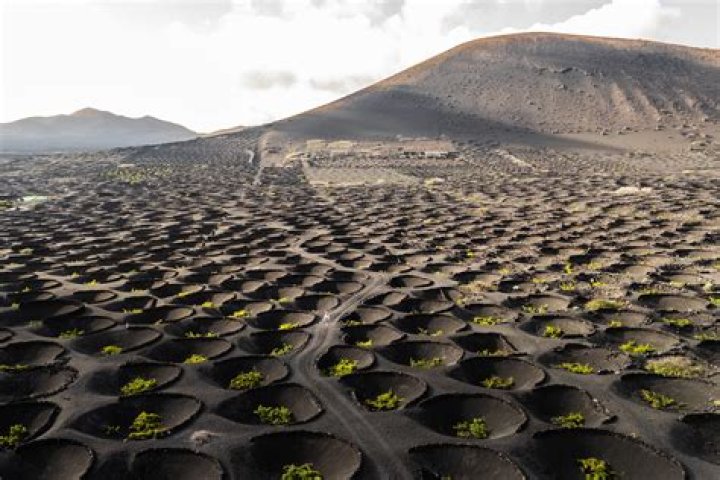 What does villages mean in wine?