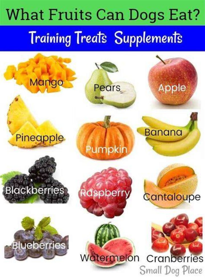 What fruit can puppies eat?