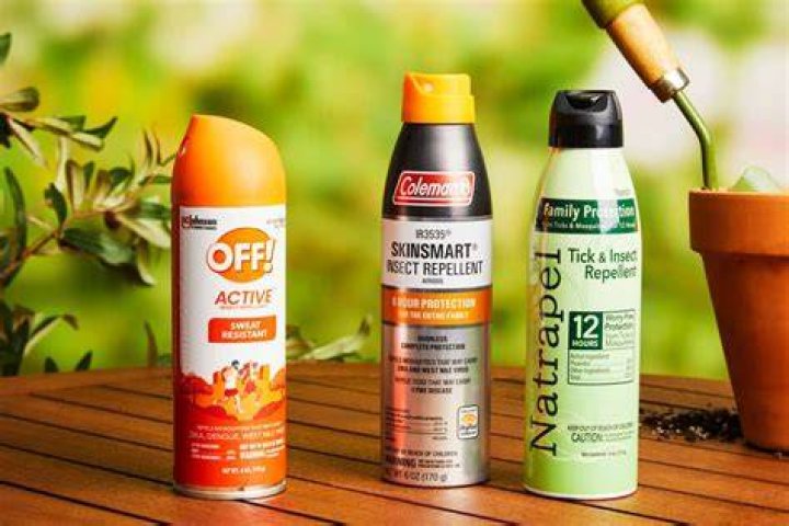What is the best ant repellent?