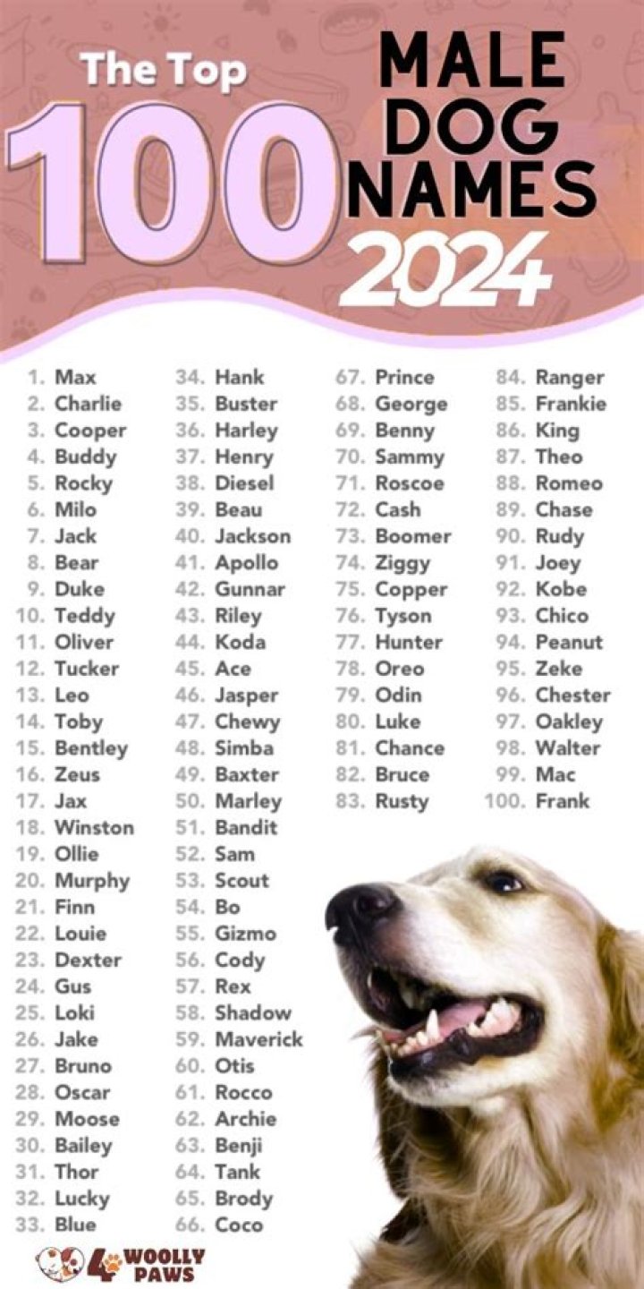 What is the best male dog name?