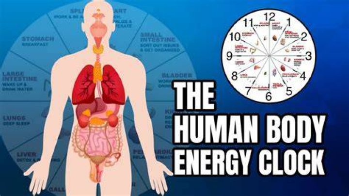 What is the master clock in the body?