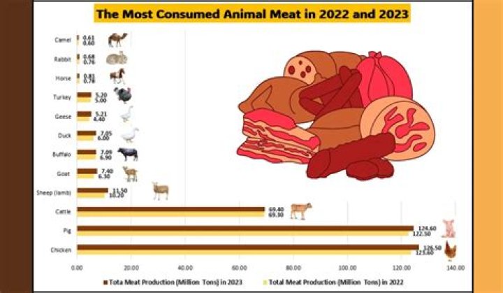 What was the first meat eaten by humans?