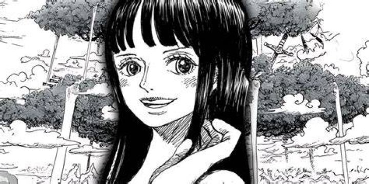 Who does Nico Robin like?