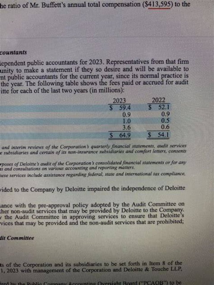 Who pays the most in audit fees?
