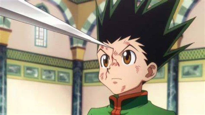 Who won Hanzo vs Gon?