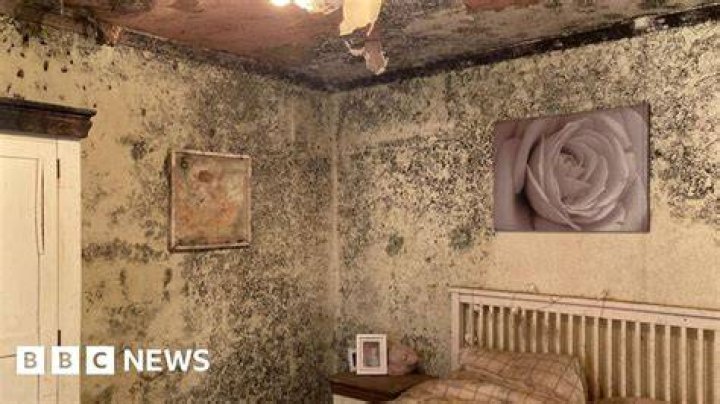 Why are British houses so Mouldy and damp?