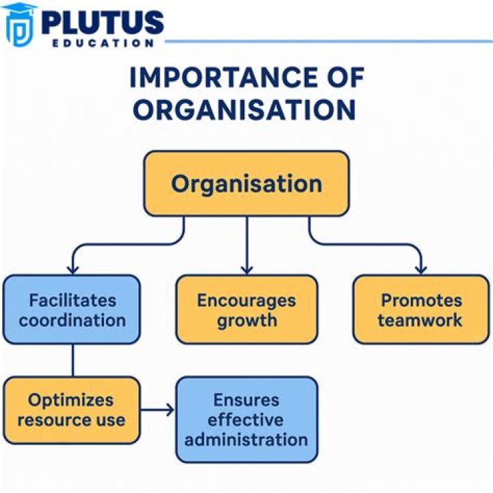 Why is organization important essay?